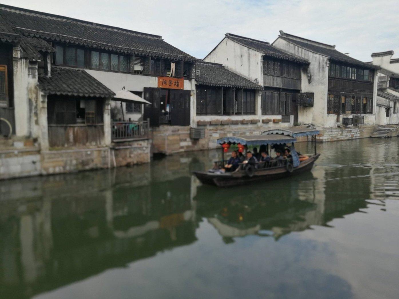 寻找火鸡